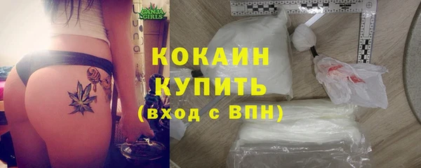 дурь Вяземский