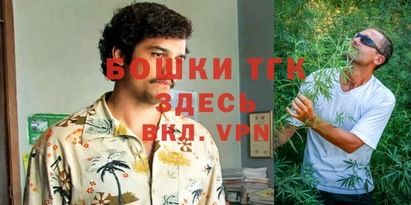 дурь Вяземский