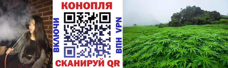 Бошки Шишки марихуана  darknet телеграм  Няндома 